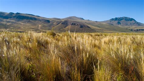 nature conservancy  argentina