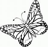 Dieren Vlinder Vlinders Schmetterling Ausmalbilder Papillons Malvorlagen Mariposas Colorare Mariposa Malvorlagen1001 Papillon Farfalle Disegni Colorir Animaatjes Tiere Animali Reales Uitprinten sketch template