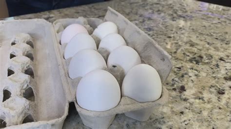 easter egg hunts  denver  colorado     list newscom
