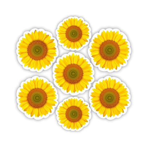 sunflower yard card bundle  sunflowers signway