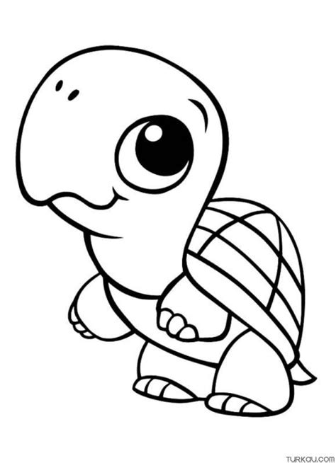 cute turtle coloring pages turkau