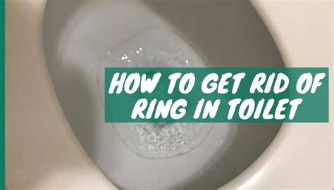 rid  ring  toilet  easy solutions