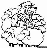 Fables Sheeps Forex Mentiroso Pastor Aesops Oveja Boiler sketch template