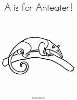 Anteater Coloring Worksheet Twistynoodle Noodle Built California Usa Change Cursive Outline Twisty Style Template sketch template