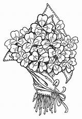 Bloemen Volwassenen Fleurs Clover Shamrocks Digi Geluk Klavertje Vier Wms Tekenen Coloriages 1090 Colorare Disegni sketch template