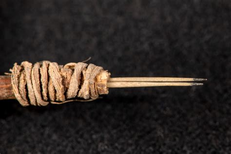 Ancient Tattoo Tool Rewrites The History Of Native