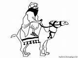 Camel Coloring Kamel Dromedario Dromadaire Coloriages Letzte sketch template