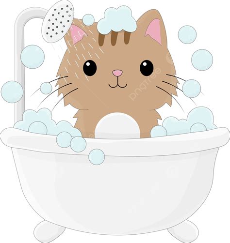 gambar mandi kucing kucing lucu stiker kucing kucing png  vektor