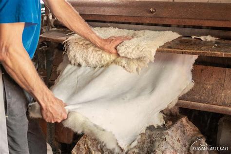 leather tanning process  sheepskin  tanned pelts  hides