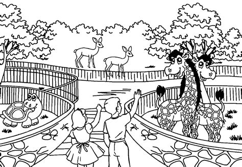 top  zoo animal coloring pages  toddlers lifewithvernonhowardcom