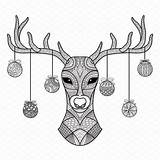 Deer Christmas Drawing Coloring Pages Mandala Creativemarket Zendoodle Paintingvalley sketch template