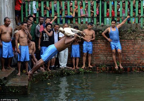 deopokhari festival in nepal sees men ripping apart live goats daily mail online