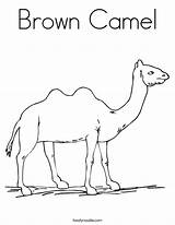 Camel Coloring Pages Brown Printable Sally Kids Template Built California Usa sketch template