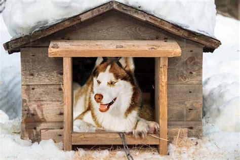 famous ideas  husky dog house plans