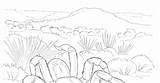 Desert Coloring Oasis Pages Getcolorings sketch template