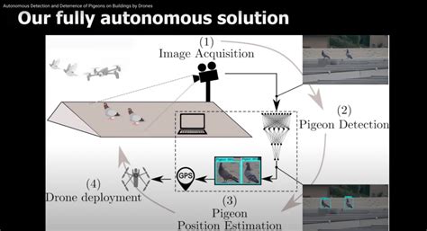 rooftop drones  autonomous pigeon harassment uas vision