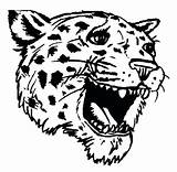 Coloring Pages Jaguar Jaguars Head Jacksonville Car Animal Getcolorings Shee Color Getdrawings Colorings sketch template