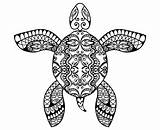Mandala Turtle Sea Svg Silhouette Zentangle Tattoo Vector Clipart Graphics Illustration sketch template