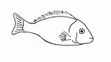 Fish Drawing Drawings Simple Line Sketch Easy Illustration Clipart Sketches Sea Clip Consumer sketch template