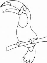 Toucan Coloring Tukan Ausdrucken sketch template