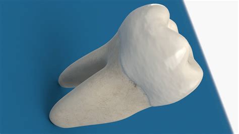 model  molar tooth kezans portfolio