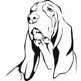 Hound Basset Coloring Dog Drawing Decal Vinyl Coon Wall Stickers Reflective Sketch 3cm Printable Sticker Drawings Styling Decoration Truck Getdrawings sketch template
