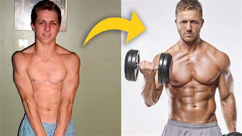 muscle and fitness transformation workout plan all