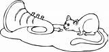 Chinchilla Coloring Trumpet Supercoloring Pages Categories sketch template