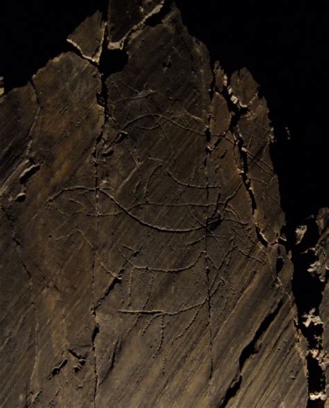 a call to arms to save the largest open air assemblage of upper paleolithic art in europe from