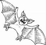 Bat Coloring Pages Color Printable Kids Halloween Scary Book Popular Library Clipart Coloringhome sketch template