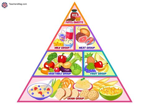 food pyramid printable worksheets