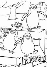 Madagascar Pinguinos Pintar Recortar Pegar Imagui Colorea Tus Tiernos Dibujalandia sketch template