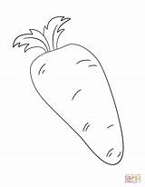 Carrot Coloring Pages Drawing Carrots Printable Paper Dot Puzzle Work sketch template