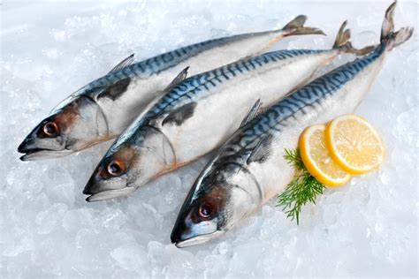 fish  eat types recipes  nutrition