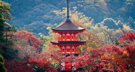 easy kyoto  day itinerary  autumn   season spiritual travels
