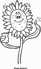 Bunga Matahari Girassol Mewarnai Hitam Putih Versi Pintarcolorir Sketsa sketch template
