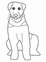 Airedale Psi Cani Bojanke Caniche Imprimer Decu Nazad Preleva sketch template