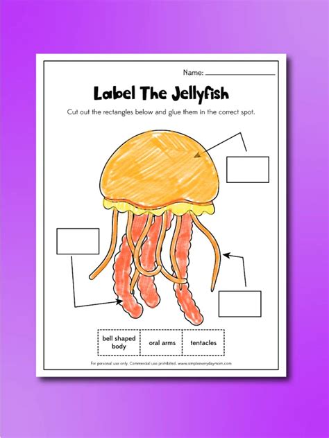jellyfish worksheets  kids freebie