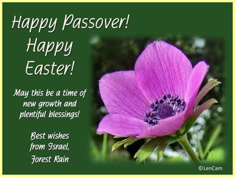 happy passover happy easter inspiration  zion    love story