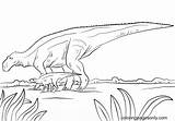 Jurassic Maiasaura Dino Cretaceous sketch template