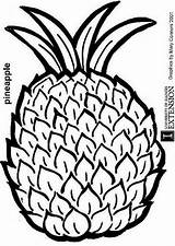 Pineapple Coloring Pages Kids Printable Outline Fruit Colouring Fruits Sheets Mothers Print Books Victoria Popular Cartoon Vegetables Coloringhome Prints Choose sketch template