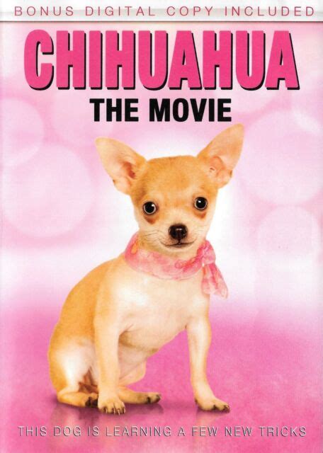 Chihuahua The Movie Anya Benton Jason Ellefson Rene Pezzotta Dvd Free