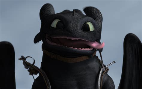 toothless toothless  dragon photo  fanpop