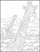 Numbers Giraffe Coloring Number Color Pages Drawing Dover Printables Paint Printable Doverpublications Publications Animal Book Haven Creative Colouring Sheets Kids sketch template