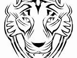 Tiger Head Coloring Getcolorings Color Printable Roaring Clipartmag Drawing Line sketch template