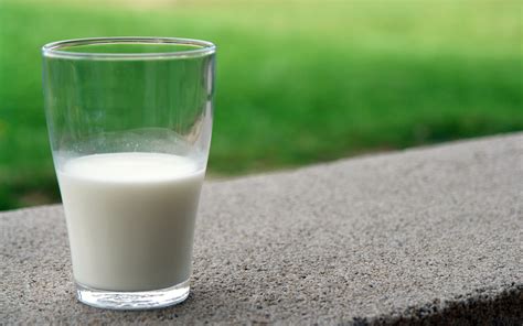 alternatieven voor melk global heart