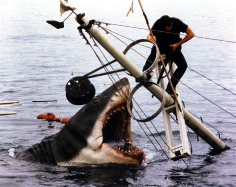 extras   film jaws recall working    hour