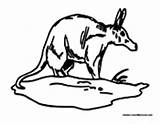 Aardvark Colormegood Animals sketch template