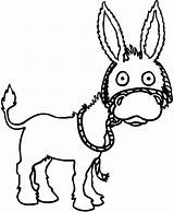 Donkey Mexican Surprised Coloring Pages sketch template