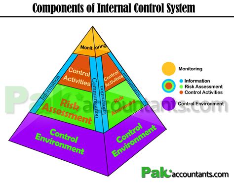components  internal control system pakaccountantscom